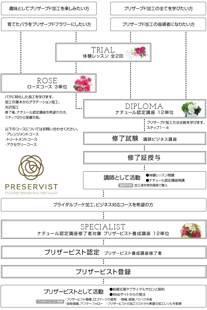 PRESERVIST_レッスン体系チャート,プリザーブド加工スペシャリスト,プリザービスト資格,認定するには